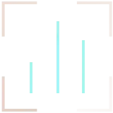 report icon